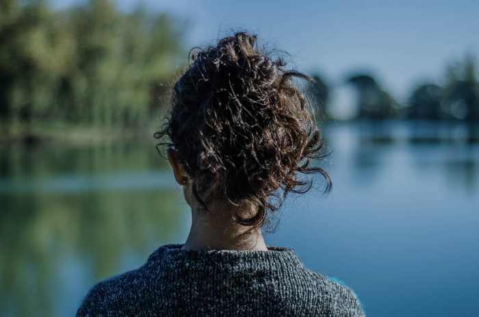 trees-lake-forest-calm